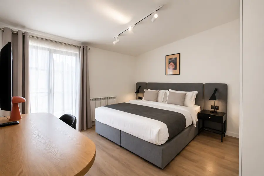 Deluxe Apartment With Terrace 2
