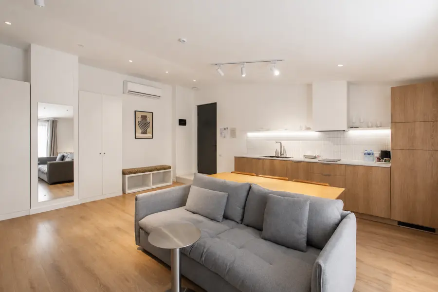 Deluxe Apartment With Terrace 3